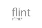 cl-flint cl-flint